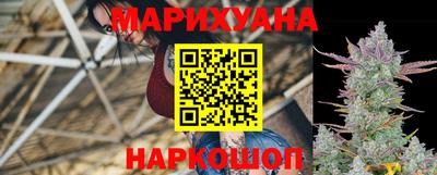 гидра Бийск